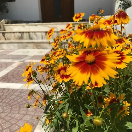 Affittacamere семейна къща “вълчеви”